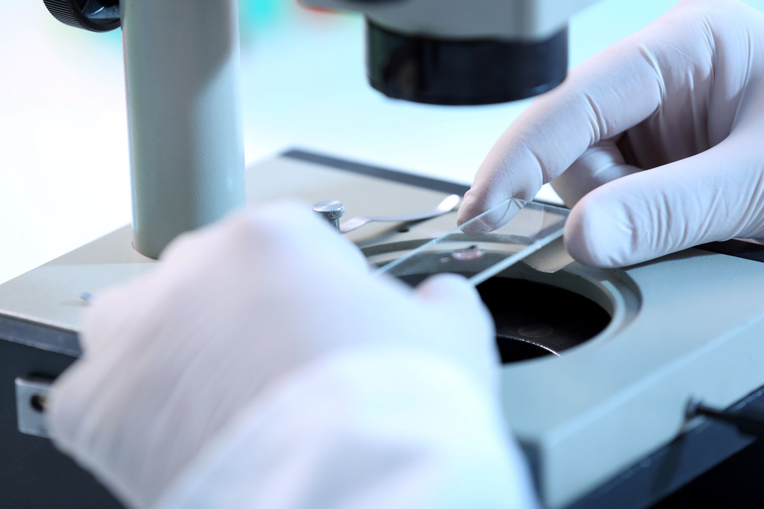 On-site biopsy
